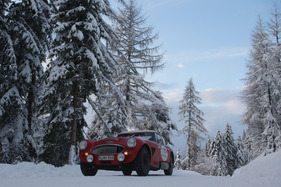 Austin Healey MK3000 (1965) - an der Planai Classic 2013