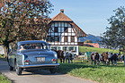 BMW 503 Coupé (1957) - auch Kühe können sich am eleganten Coupé kaum sattsehen