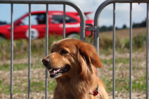 Der Escort scheint ihn nicht so richtig zu interessieren - Oldtimerclassic Hittnau 2014