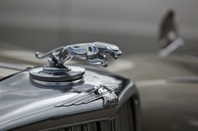 Der springende Jaguar - Markenzeichen des britischen Herstellers - am 24. Oldtimer Grandprix Safenwil 2015