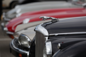 Der springende Jaguar auf der Kühlerhaube - am 24. Oldtimer Grandprix Safenwil 2015