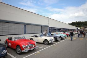 Die Austin-Healey schön aufgereiht - am 24. Oldtimer Grandprix Safenwil 2015