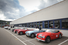 Die Sportwagen der Marke Austin-Healey in einer Reihe - am 24. Oldtimer Grandprix Safenwil 2015