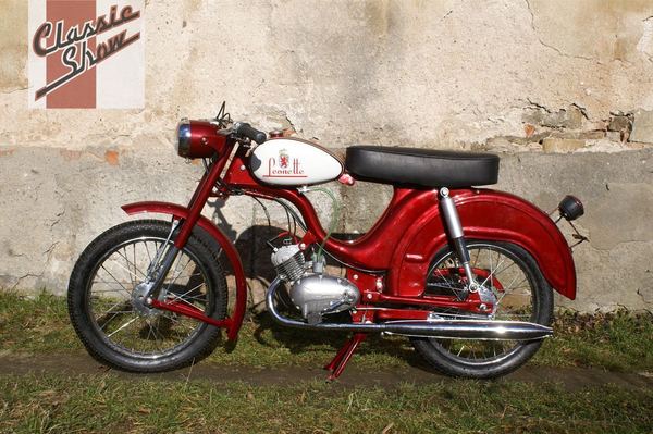 Eine Leonette aus Brasilien - soll an der Classic Show Brno 2015 gezeigt werden