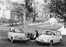 Fiat 500 D (1963) - Picknick im Grünen, zu sehen die Variante mit Faltdach und die Variante Giardinera