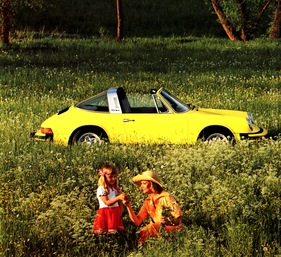 Der gelbe Porsche 911 in der Wiese