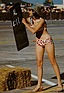 Selbst 1970 war die Kommunikation zwischen Fahrer und Boxencrew oft noch nicht via Funk - Rundenzeiten wurden mit Tafeln angezeigt - hier besonders reizvoll! (12 Stunden von Sebring 1970)