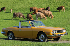 Triumph Stag (1970) - naturverbunden Triumph Stag (1970) - naturverbunden
