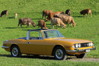 Triumph Stag (1970) - naturverbunden
