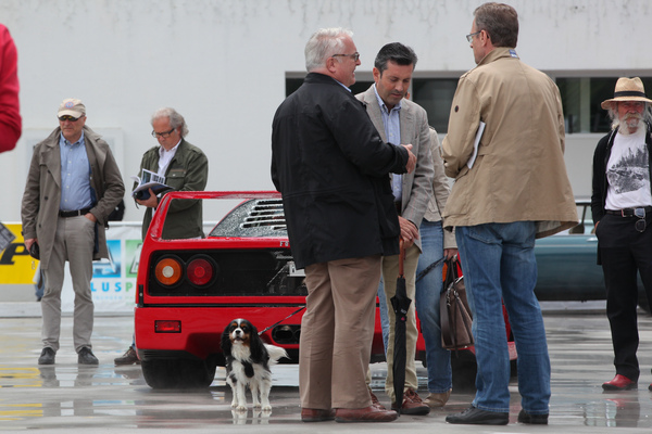 Vor der Versteigerung wird bereits eifrig diskutiert, nur der Hund ist gelangweilt - Dolder-Versteigerung der Oldtimer Galerie am 11. Juni 2016
