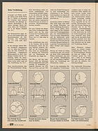 Seite 62 von Übersicht: auto motor und sport / Nr. 3 / 1982 - Titelseite