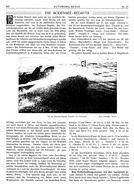 Seite 362 von AR Nr. 22 / 1910 vom 06.08