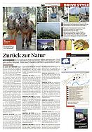 Seite 35 von AR Nr. 41 / 2009