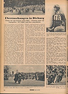 Teaserbild
