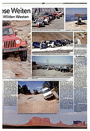 Seite 37 von AR Nr. 52 / 2002