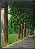 Seite 66 von auto motor und sport Nr. 21 / 1971