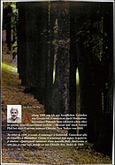 Page 137 of SwissClassics Nr. 3 / 2004