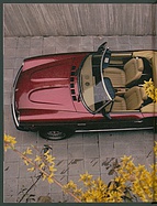 Testbericht: Come Prima - Fahrbericht Pininfarina Spidereuropa Volumex (auto motor und sport / Nr. 10 / 1984 - Seite 22)