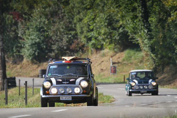 Rover Mini