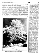 Seite 7 von Illustrierte AR Nr. 4 / 1933 vom 01.11