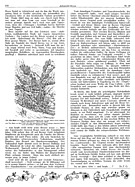 Seite 172 von Illustrierte AR Nr. 10 / 1925 vom 01.10