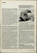 Seite 61 von ADAC Motorwelt Nr. 2 / 1971 vom 01.02