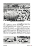 Page 47 of SwissClassics Nr. 1 / 2016