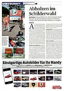 Page 18 of AR Nr. 36 / 2010
