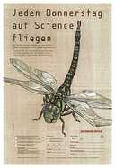 Seite 12 von AR Nr. 35 / 1999