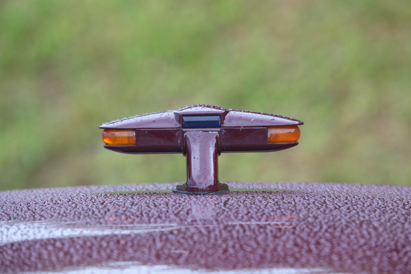 Volvo PV 444