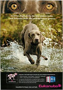 Seite 70 von SwissClassics Nr. 1 / 2004