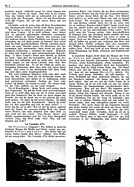 Seite 13 von Illustrierte AR Nr. 3 / 1926 vom 01.04