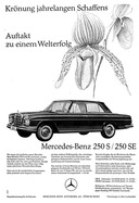 Teaserbild