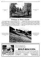 Seite 107 von Illustrierte AR Nr. 5 / 1924 vom 01.05