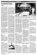 Seite 4 von AR Nr. 17 / 1981 vom 16.04