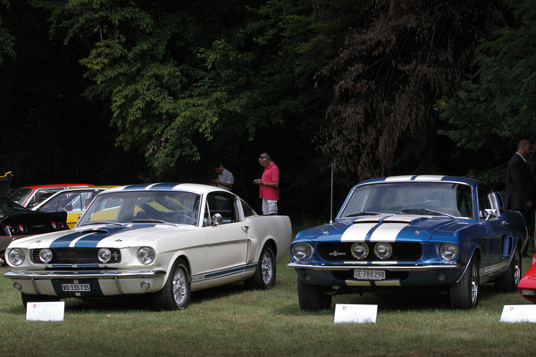Ford (US) Shelby GT 500