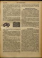 Seite 3 von ADAC Motorfahrer Nr. 43 / 1917 vom 27.10