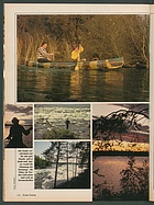 Seite 141 von Übersicht: auto motor und sport / Nr. 12 / 1985 - Titelseite