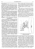 Seite 49 von AR Nr. 4 / 1910 vom 26.02