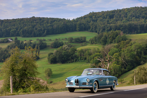 BMW 503