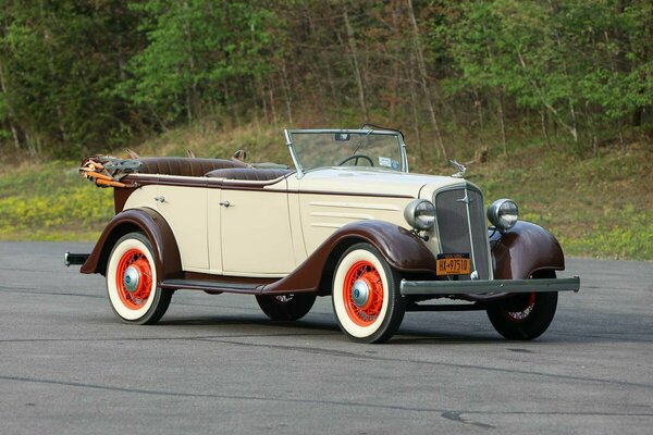 Chevrolet Standard