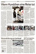 Seite 33 von AR Nr. 36 / 2003