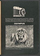 Seite 29 von auto motor und sport Nr. 25 / 1971
