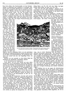 Seite 474 von AR Nr. 29 / 1910 vom 24.09