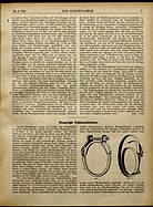 Seite 7 von ADAC Motorfahrer Nr. 6 / 1918 vom 09.02