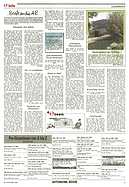 Seite 17 von AR Nr. 13 / 1997