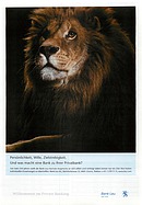Seite 95 von SwissClassics Nr. 4 / 2004