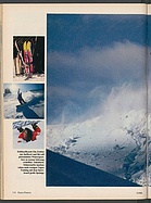 Seite 118 von Übersicht: auto motor und sport / Nr. 5 / 1988 - Titelseite
