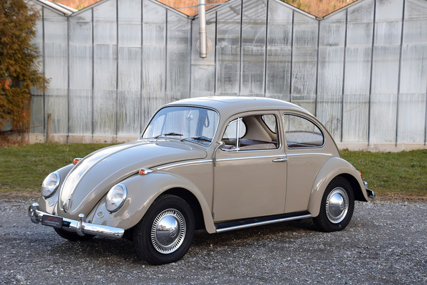Volkswagen Käfer 1300