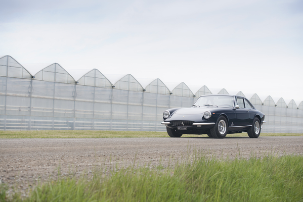 Ferrari 365 GTC